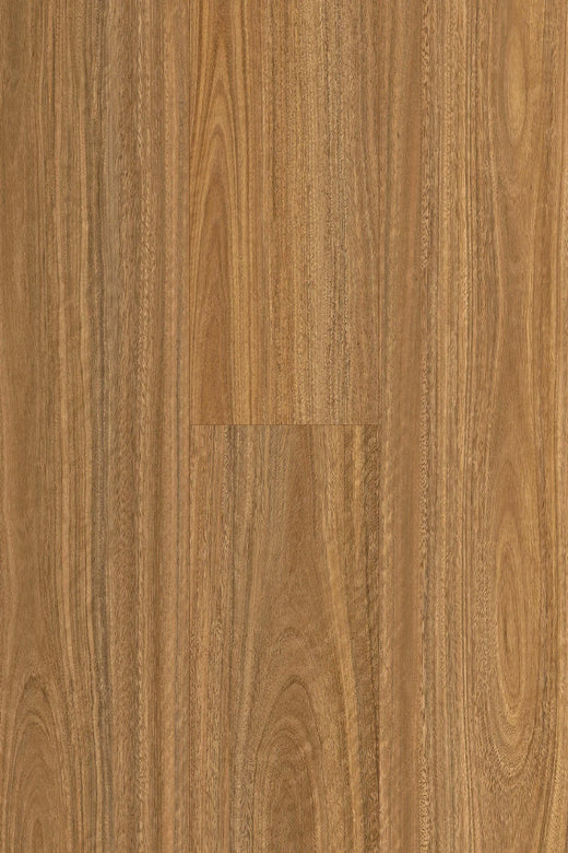 Topdeck Pantora Amor AC5 Laminate Flooring 12mm Spotted Gum Swatch