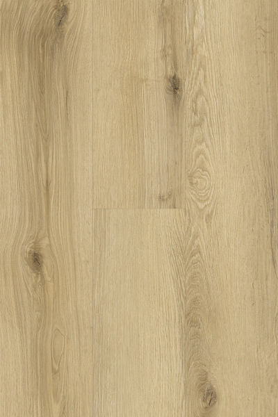 Topdeck Pantora Lifestyle AC5 Laminate Flooring 8mm Neutral Oak Swatch