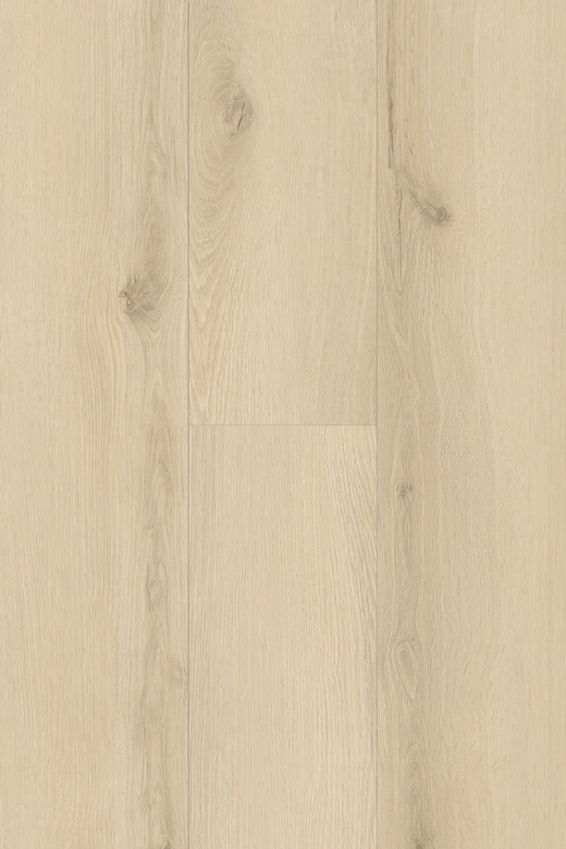 Topdeck Pantora Lifestyle AC5 Laminate Flooring 8mm White Cove Swatch