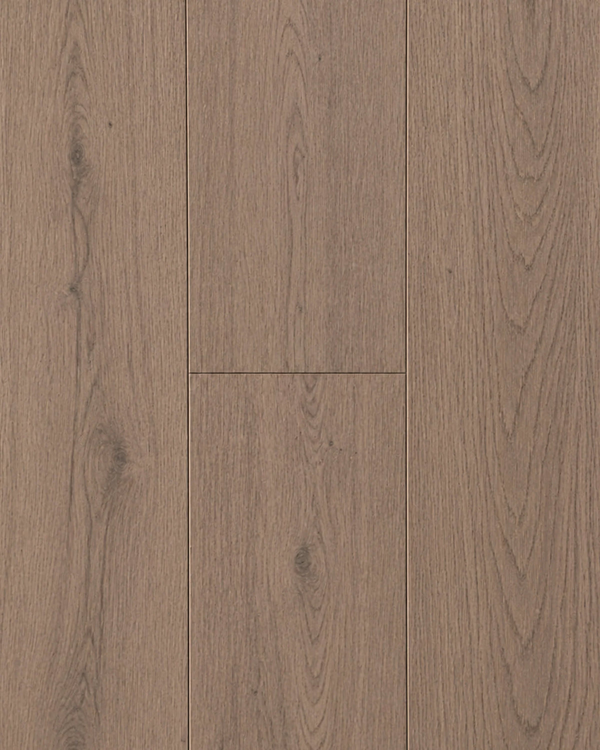 Topdeck Project Oak European Oak Engineered Timber Flooring 14/2mm Hamilton Oak Swatch