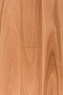 Pacific Spotted Blackbutt