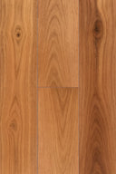 Pacific Spotted Gum