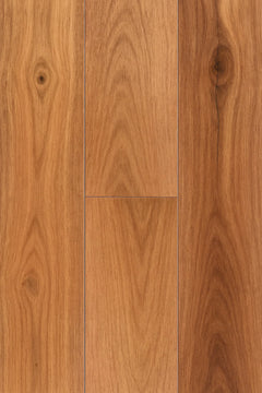 Pacific Spotted Gum flooring colour
