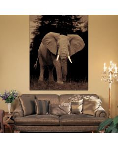 Ruby Elephant Picture Rug
